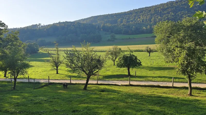 Bild von Michael Laurenz
