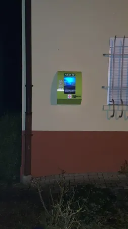 Bild von Schärer Gartenbau