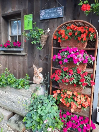 Bild von Therese Studer