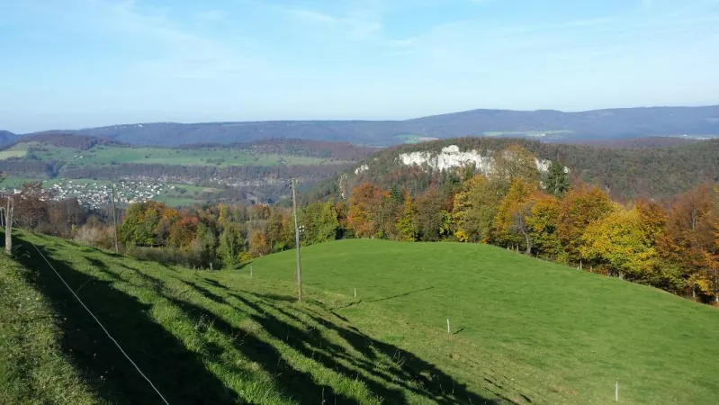 Bild von Urs Stegmüller