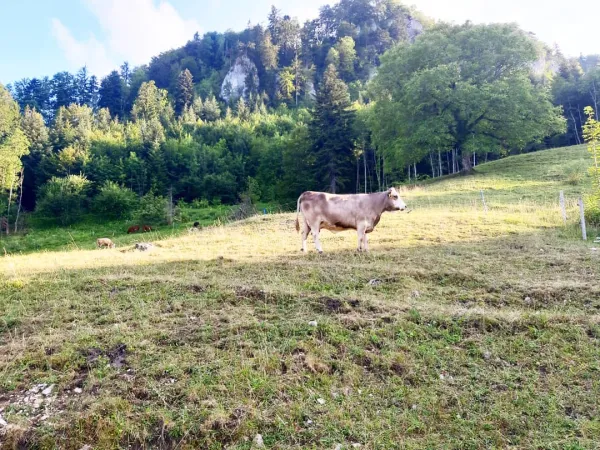 Bild von Edyta Humair