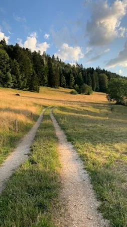 Bild von Clubhütte Stierenberg Wanderclub Bergli Grindel