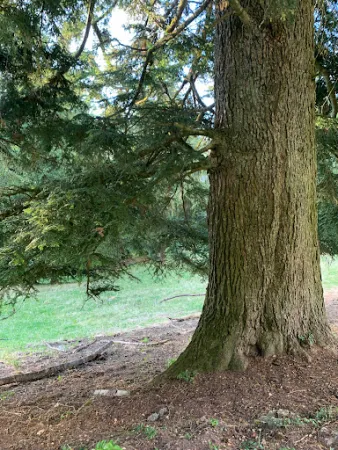 Bild von Clubhütte Stierenberg Wanderclub Bergli Grindel