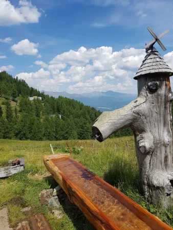 Bild von varga viktor