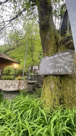 Bild von Grotto Brunoni