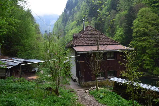 Bild von Bruno Locatelli