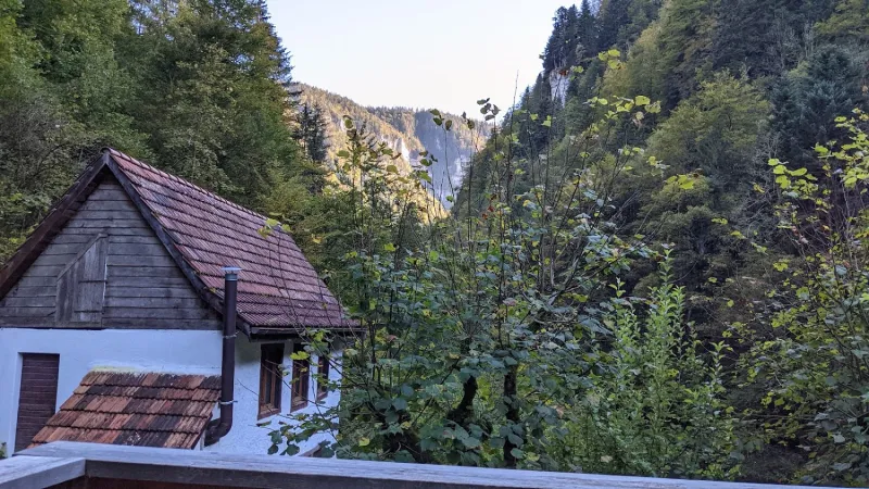 Bild von Anthony Malerba