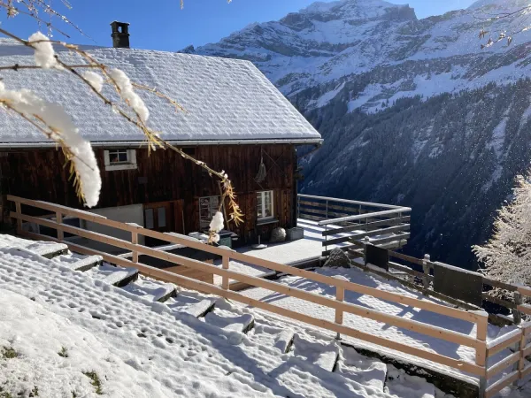 Bild von Bärgli