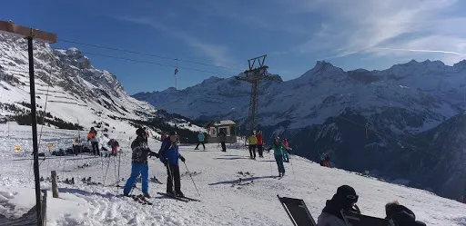 Bild von Schneehäsli