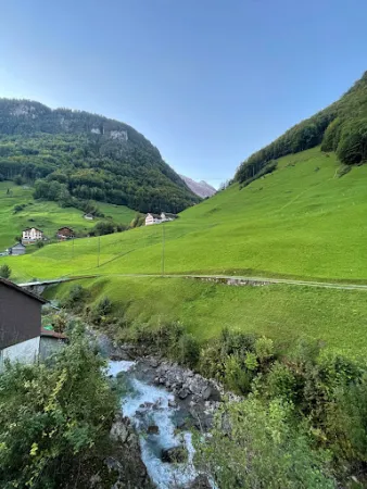 Bild von Urirotstock