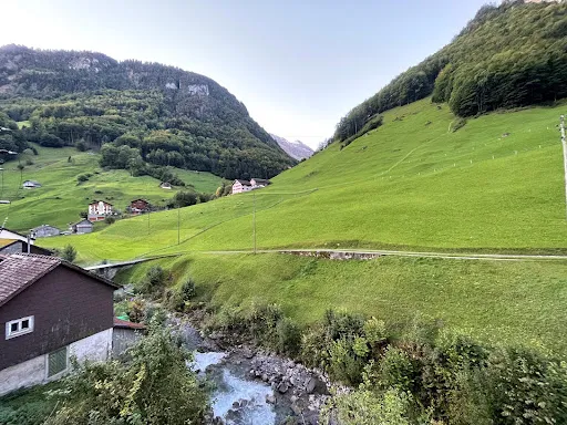 Bild von Urirotstock