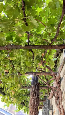 Bild von Ristorante Al Grottino