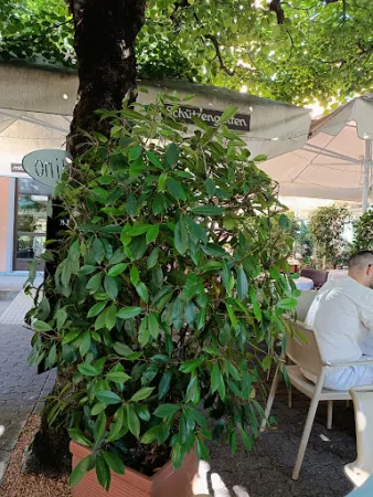 Bild von Ristorante Giardino