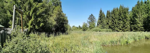 Bild von Badebuffet Kreinbucher