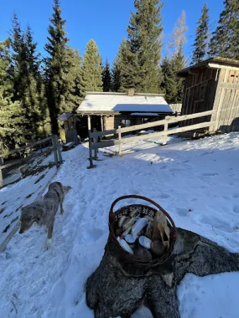 Bild von Tonnerhütte Lift