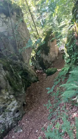 Bild von Schluchtenhütte/Schluchtenweg Opponitz