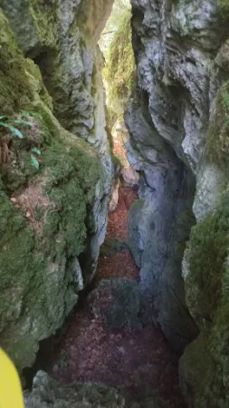 Bild von Schluchtenhütte/Schluchtenweg Opponitz