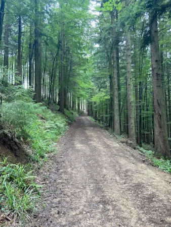 Bild von Der Gasthof Kulm