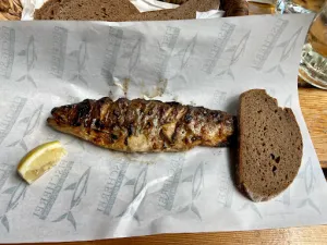 Fischerei Trawöger - Dorfner - Altmünster am Traunsee