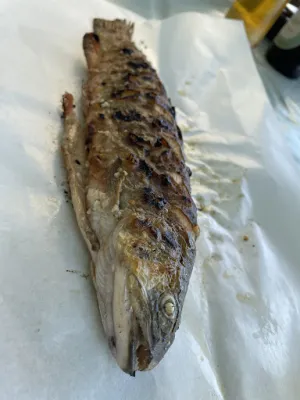 Fischerei Trawöger - Dorfner - Altmünster am Traunsee