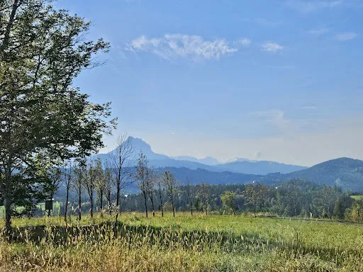 Bild von Jausenstation Derischleiten Mittermayr Brigitte