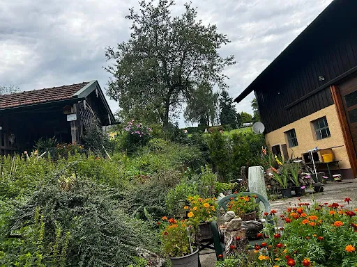 Bild von Gasthaus zur frischen Maß Bier