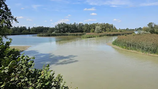 Bild von Burgschänke Frauenstein GmbH