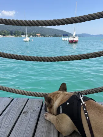 Bild von "Am Steg" Seerestaurant Leopold