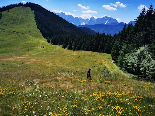 Bild von Dreiländereck Hütte