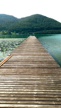 Bild von Loving Hut Pension und Restaurant am Klopeiner See