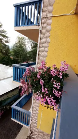 Bild von Loving Hut Pension und Restaurant am Klopeiner See