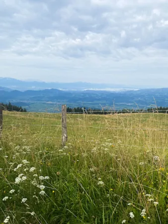 Bild von Alpengasthaus Sonnhof
