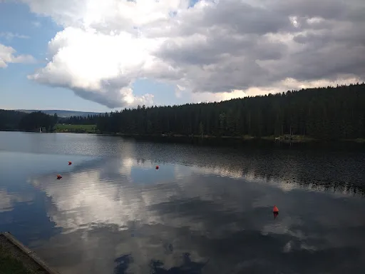 Bild von Gasthaus Seewirt