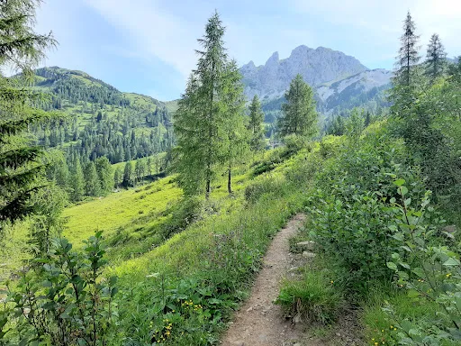 Bild von Watschiger Alm