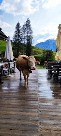 Bild von Watschiger Alm