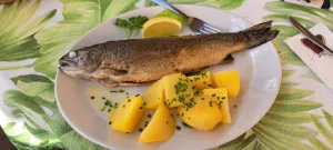 Gasthof- Pension Waldhof