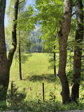 Bild von Jassingalm