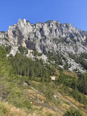 Bild von Jassingalm