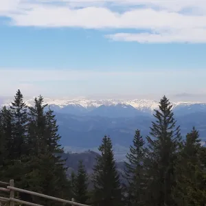 Hofbaueralm