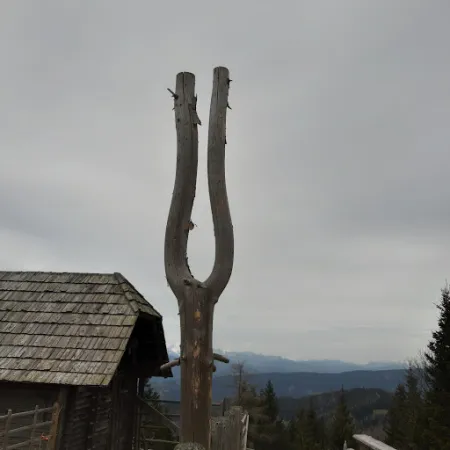 Bild von Hofbaueralm
