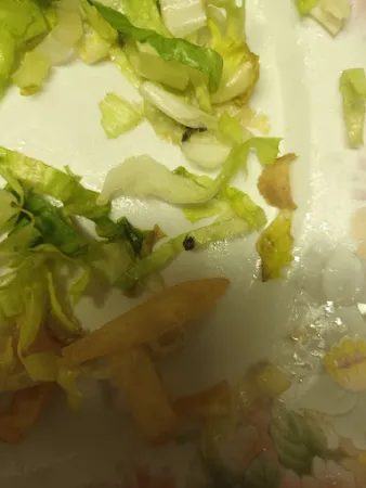 Bild von Ankara Kebap Pizza Grill