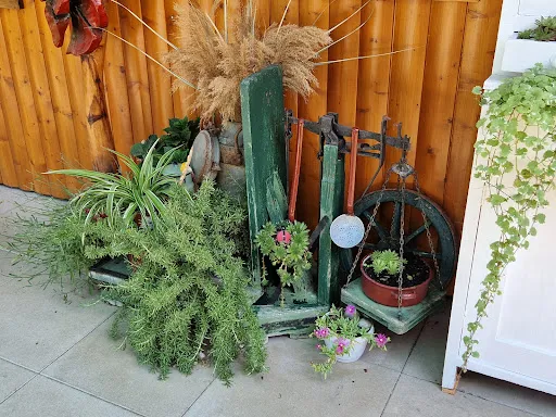 Bild von Lydia's Garten