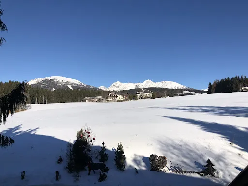 Bild von Hotel - Gasthof Häuserl im Wald Mariapfarr