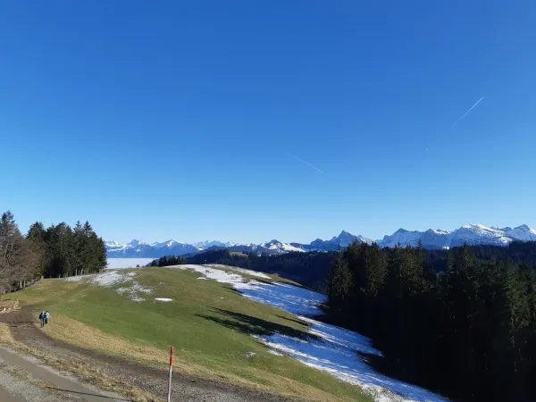 Bild von Ruedi Henggeler