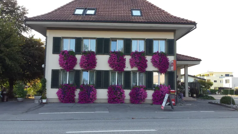 Bild von Susanne Thommen