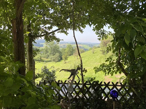 Bild von Zum Wilden Mann