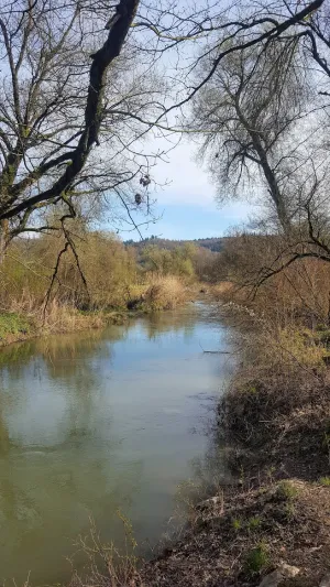 Meienried
