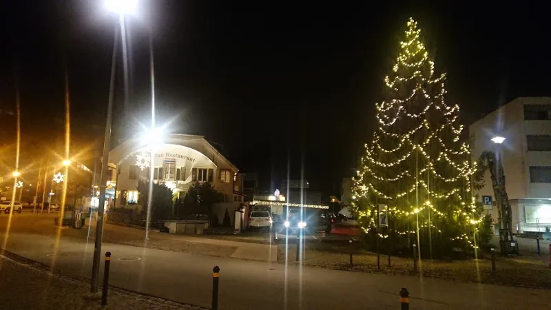 Bild von Katharina Schlup