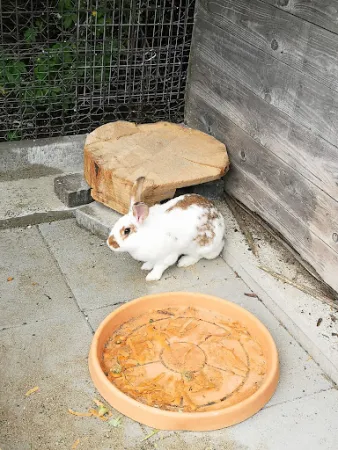 Bild von Zelgli-Träff
