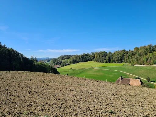 Bild von Restaurant z. Hirschen